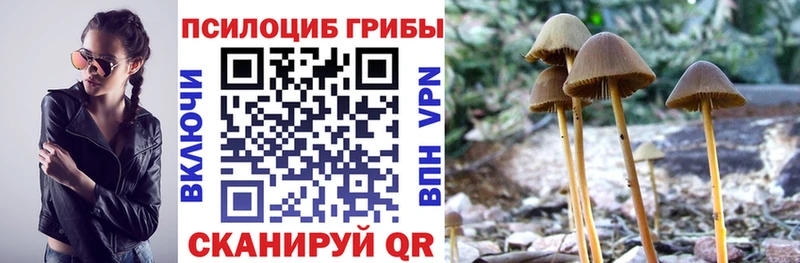 Галлюциногенные грибы Magic Shrooms Темников